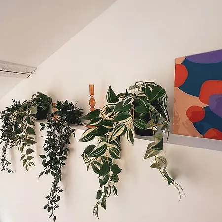 Chez Leonie - Centre Appartement